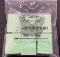 Guest Soaps