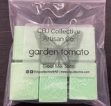 Guest Soaps